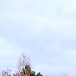 Kuva tilasta