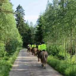 Kylämäen hevostila