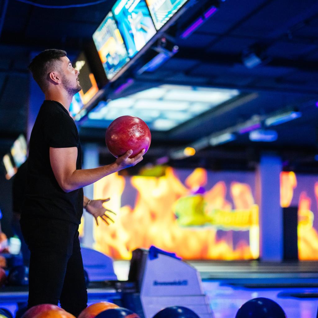 BowlCircus Flamingo