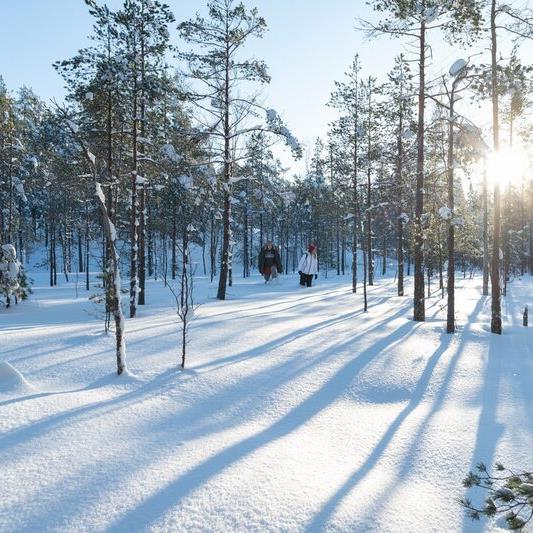 Suomen luontokeskus Haltia