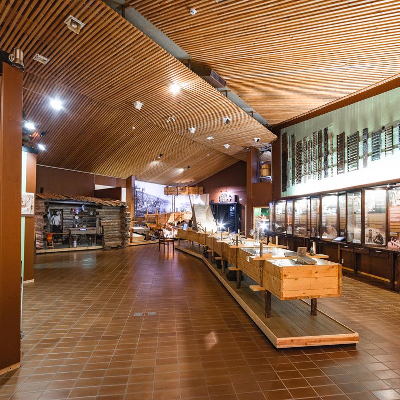 Lapin metsämuseo