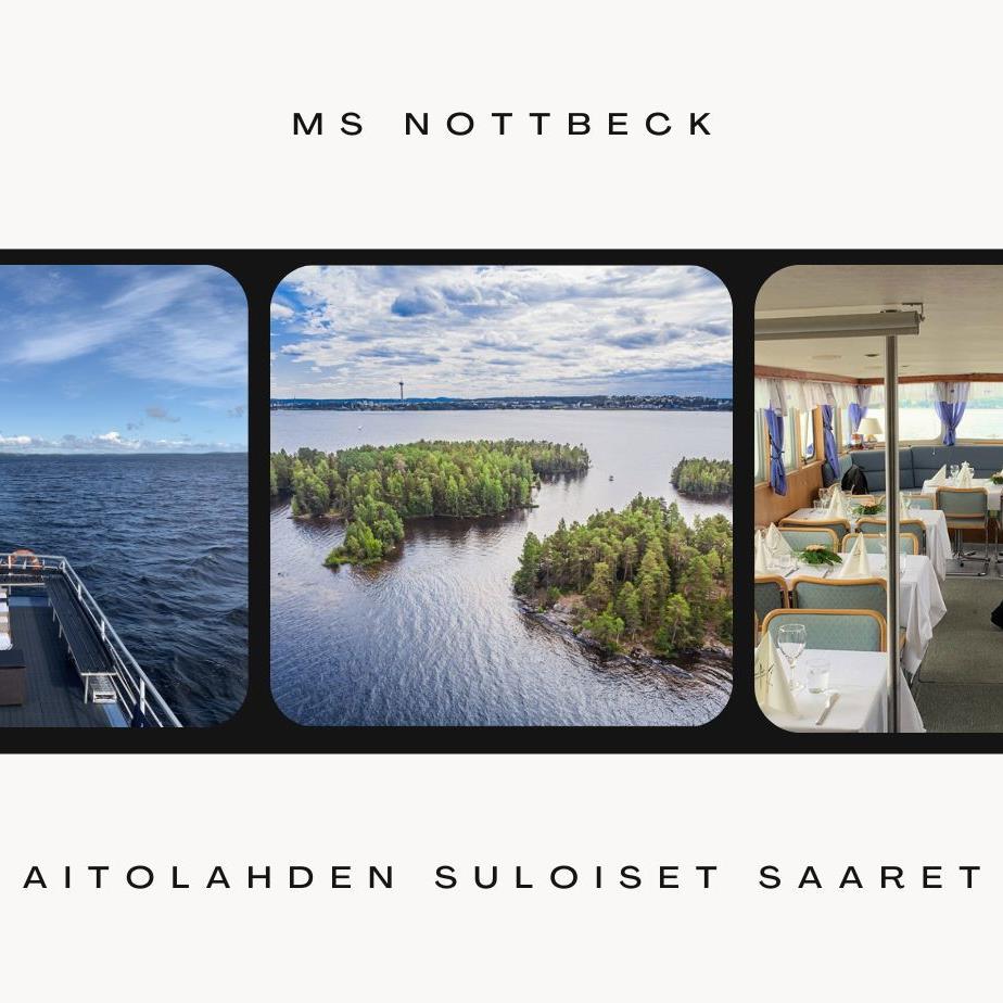 Salonkilaiva m/s Intti